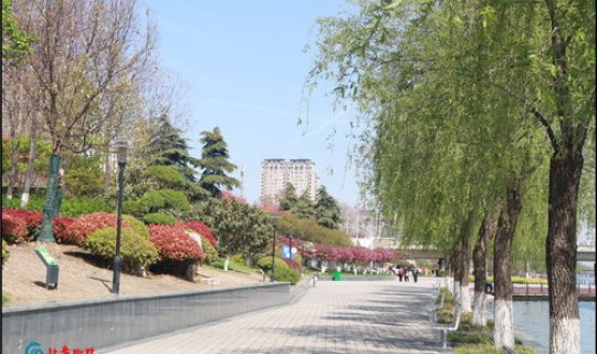 2021年4月1号高速收费吗 2020年大年是几号