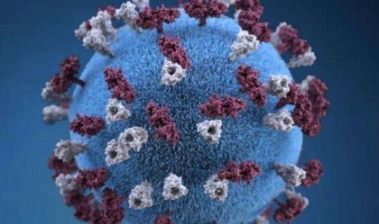 河南哪个地方又出现一例新冠病毒(河南还有几例新冠状病毒)