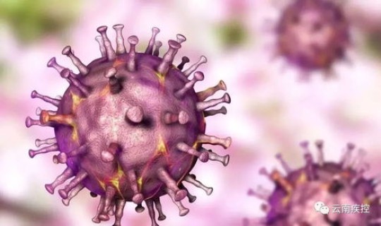 现在有没有新病毒？萨斯病毒