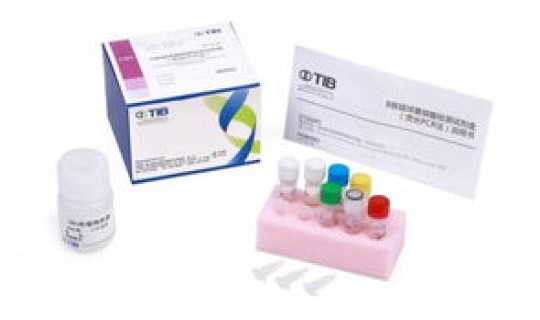 核酸检测 宁波 b族链球菌核酸检测是查什么