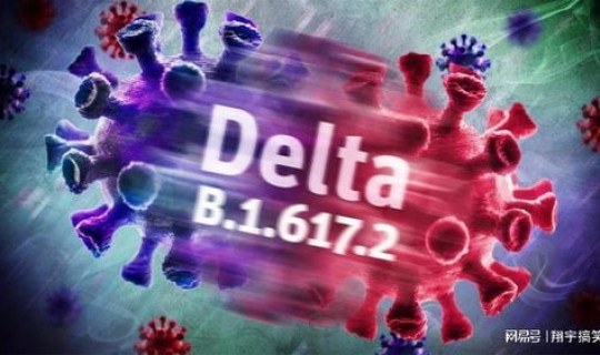 德尔塔毒株与新冠病毒？德尔塔毒株是新冠病毒的变异种吗
