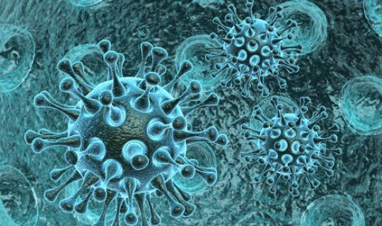 广东最近流行的病毒症状有哪些(现在流行病毒的症状)