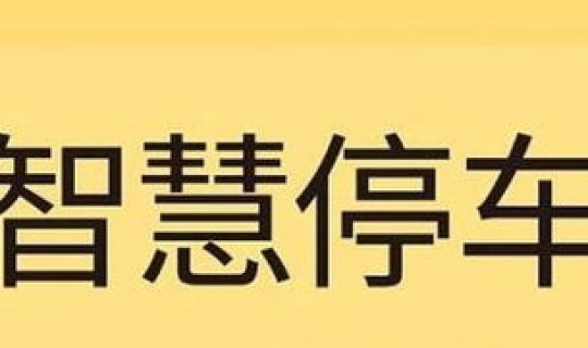 沈阳停车平台(沈阳智慧停车app)
