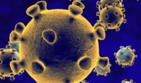 西安新冠疫情确诊人数统计 陕西疫情 西安新冠疫情确诊人数统计 陕西疫情