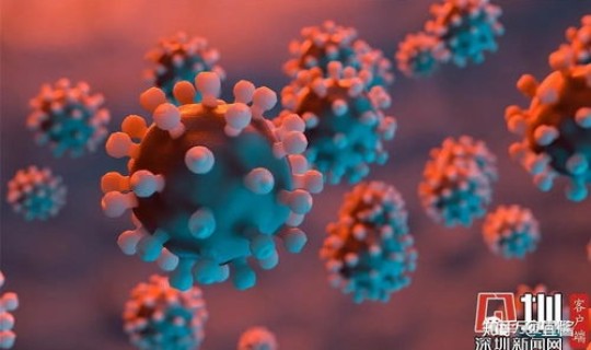 津南疫情奥密克戎病毒 奥密克戎属于什么病毒