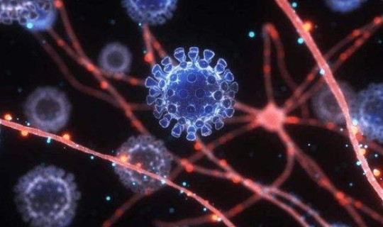 德尔塔病毒事件 马尔堡病毒百科