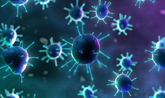 德尔塔病毒现状 什么是马尔堡病毒