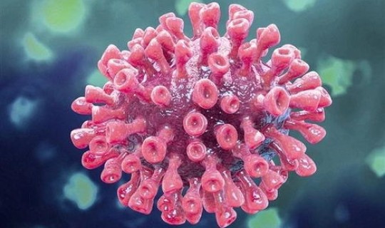 英国的新冠状病毒最新消息？新型冠状病毒英文