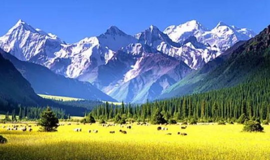 新疆旅游因为疫情遣返(入疆最新政策疫情)