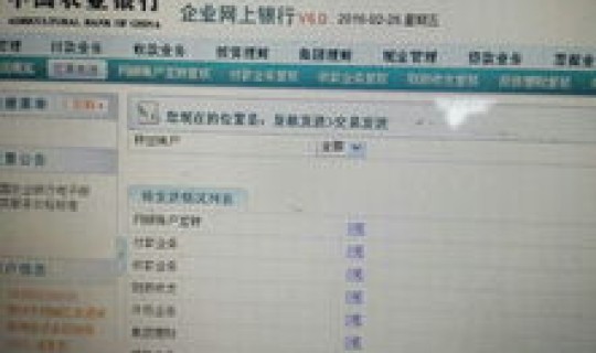 转帐待复核(转账显示待复核是什么意思)