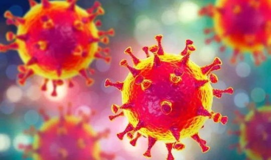 新型冠状病毒二级防护措施有哪些，新冠病毒的防护措施