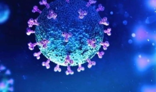 广东新病毒名称？广东发现新冠病毒什么的突变株