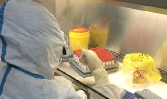 广西 无症状感染 广西感染