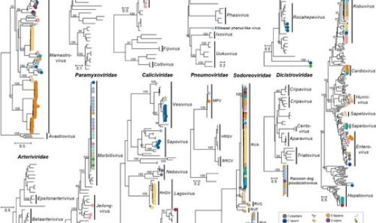 病毒的基因测序需要多久出结果(基因测序原理)