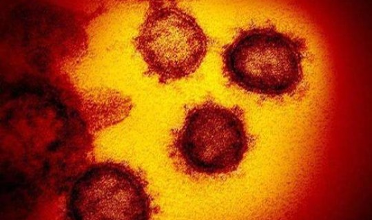 辽宁新增本土无症状感染者有多少？无症状病毒感染