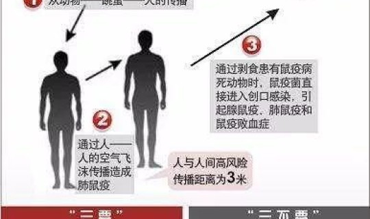 鼠疫死亡率有多高(鼠疫发生过几次)