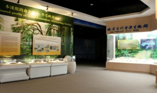 辽宁国家二级博物馆(中国一级博物馆有哪些)