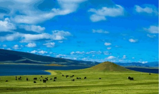 蒙古国有疫情吗，内蒙古和外蒙古是一个国家吗