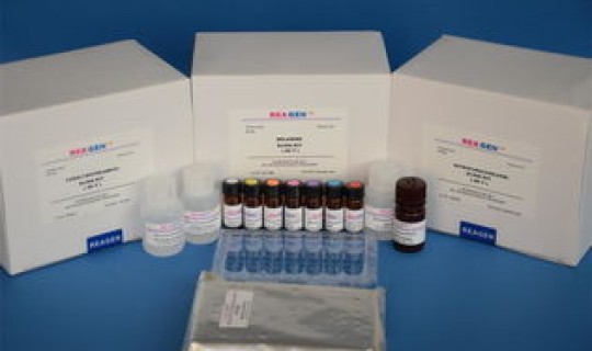 武汉暂停全民核酸检测？核酸检测试剂盒