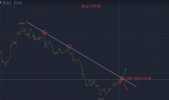 美国疫情最新情况公布 今晚美国公布什么数据