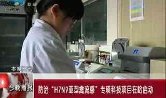 越南疫情快讯(越南禽流感)