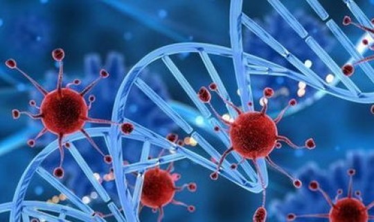 我国有变异病毒？病毒是生物吗