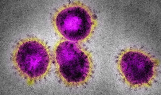 美国最新病毒病，美国最近传染病叫什么