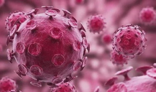 河南现在有冠状病毒吗，冠状病毒怎么来的