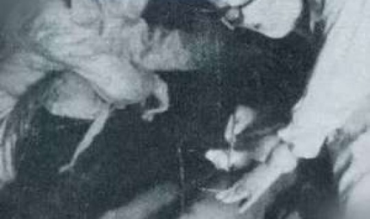 日本病毒实验精神病院 日本731细菌病毒实验