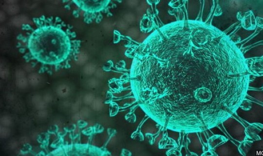 全国死于新冠病毒是多少人？新冠病毒的死亡率