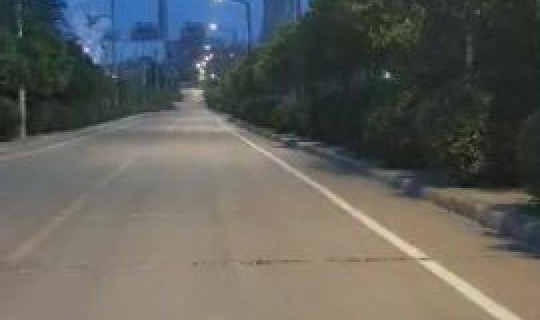 春节期间还会封村吗(村委会有权利封村吗)