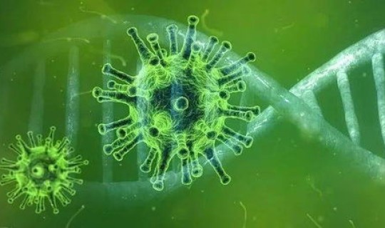 额济纳旗新冠肺炎最新消息，最新消息新型冠性肺炎