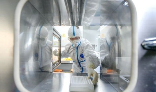 现在进武汉要核酸检测吗 病毒核酸检测 现在进武汉要核酸检测吗 病毒核酸检测