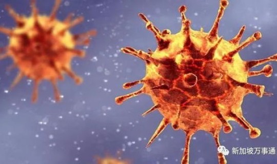 世界新冠变异，全球新冠变异株有几种