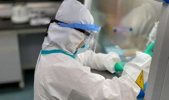 上海核酸检费用？核酸检测