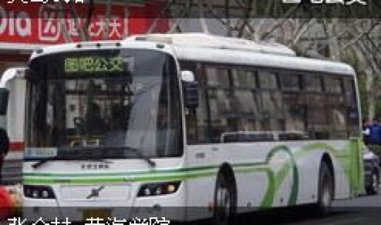 青岛公交线路查询，青岛所有公交线路表