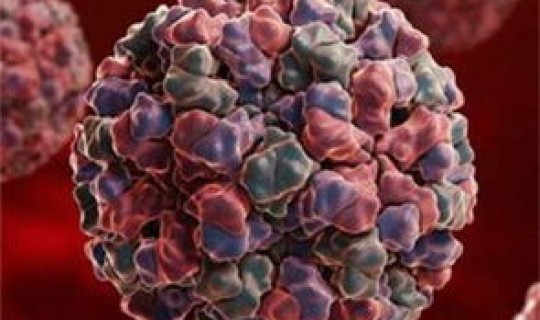 沈阳现在流行的病毒？近期流行病毒