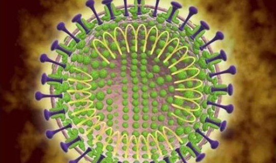 新型冠状肺炎无症状感染者的表现？新型冠状病毒感染的肺炎疫情