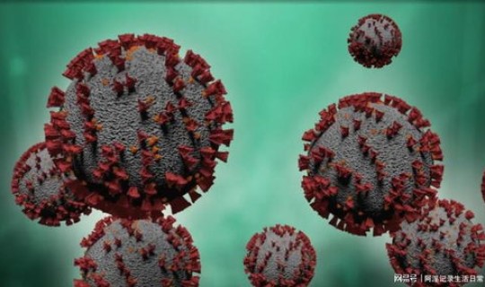 江苏省病毒感染最新消息 病毒感染和细菌感染的区别
