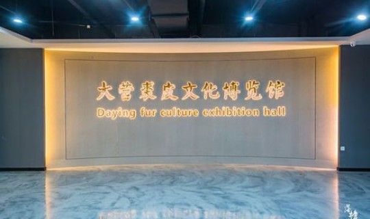 衡水市枣强县是哪个省的(河北省枣强县简介)