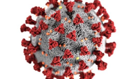 美国本土变异毒株 美国最近有什么病毒