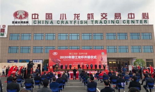 湖北潜江新冠疫情，潜江吧