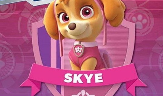 新版汪汪队成员名字(汪汪队10只狗的名字)