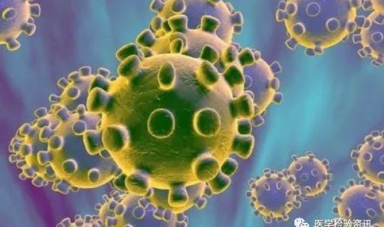 陕西有没有新增新冠病毒 新型冠状病毒传播途径