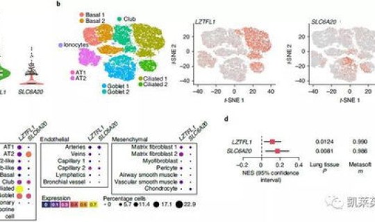辽宁病毒感染者是哪里的 病毒感染是怎么引起的