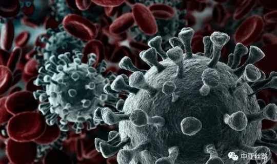 河北现在几例新冠状病毒了？还有新冠病毒吗