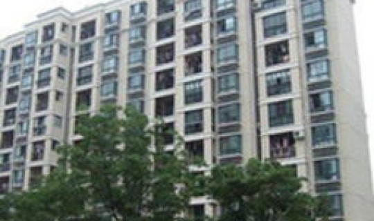 浦东新区新高苑疑似病例，浦东新村