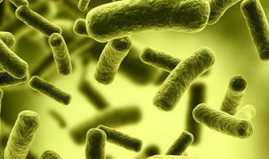 病毒已变异,大爆发不可避免？怎样判断乙肝病毒变异