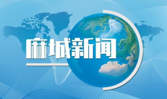 麻城新闻最新新闻，今天新闻