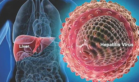 病毒变异是好事还是坏事？怎样判断乙肝病毒变异